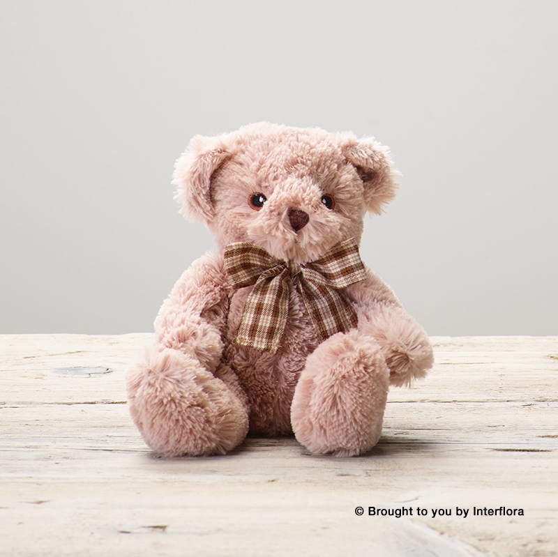 Baby Boy Tie & Teddy Bear